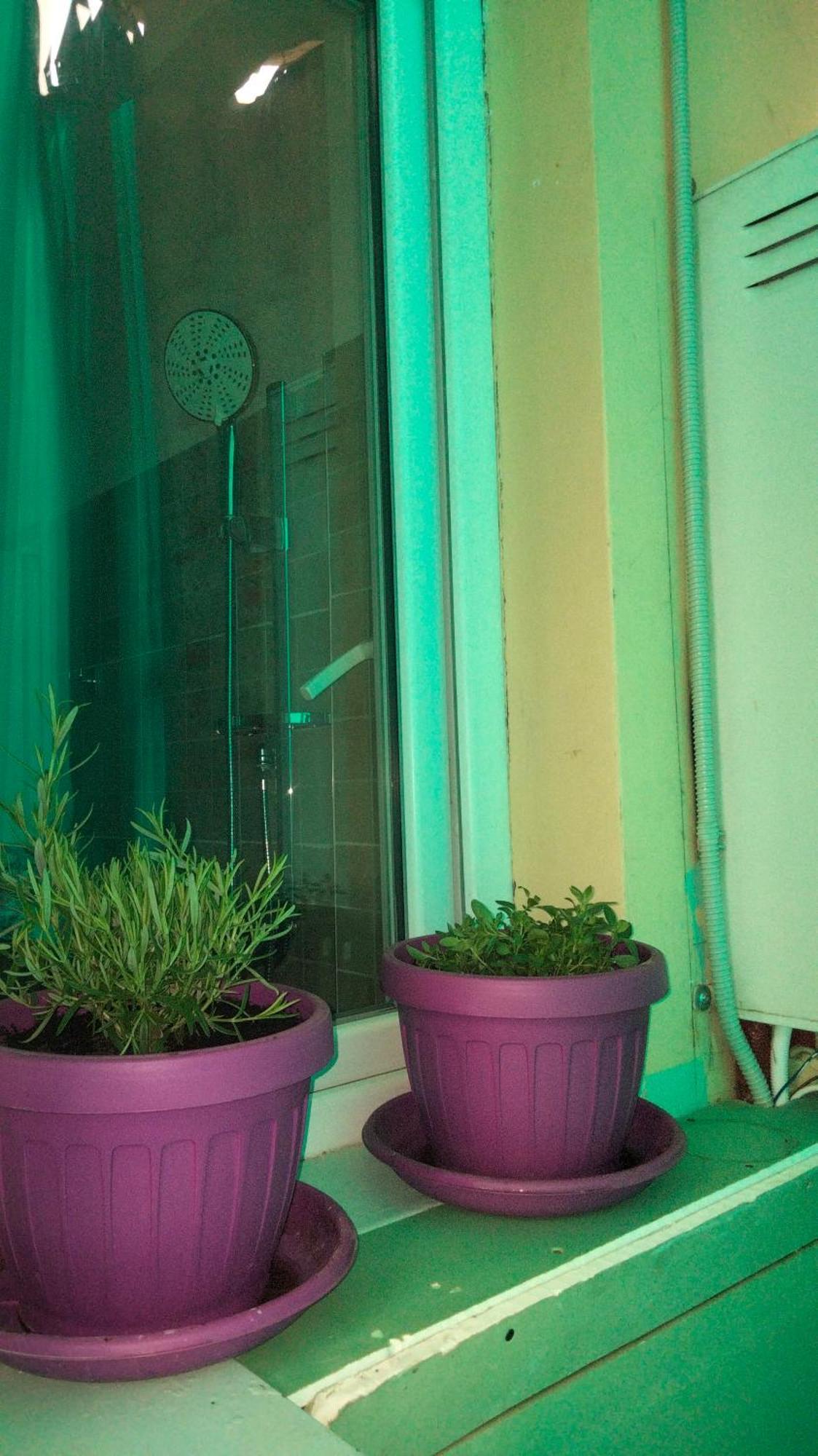 Casa Vacanza Kadya ตูริน ภายนอก รูปภาพ